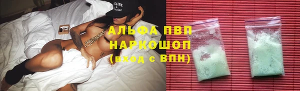 сатива Медвежьегорск