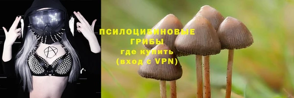 сатива Медвежьегорск