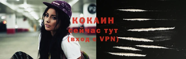сатива Медвежьегорск