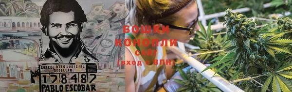 сатива Медвежьегорск