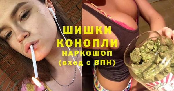 сатива Медвежьегорск