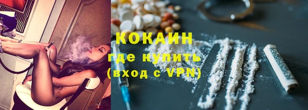 сатива Медвежьегорск