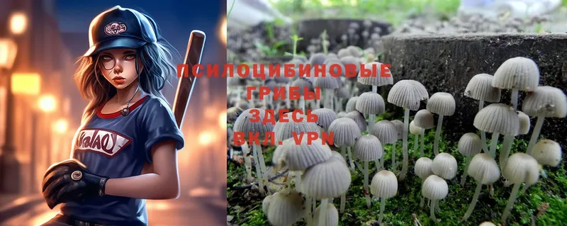 ссылка на мегу онион  Бийск  Псилоцибиновые грибы MAGIC MUSHROOMS 