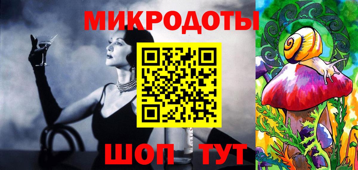 Псилоцибиновые грибы Psilocybe Бийск