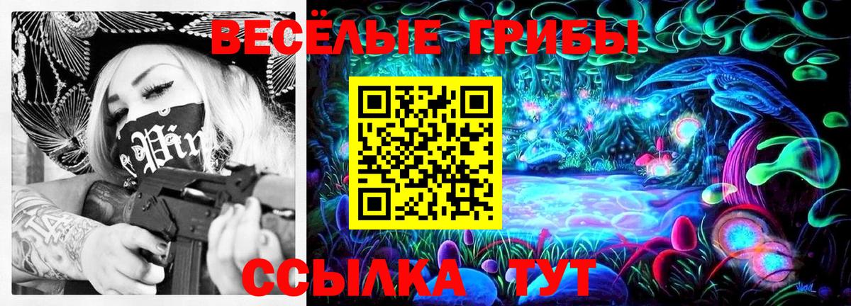 Галлюциногенные грибы MAGIC MUSHROOMS Бийск